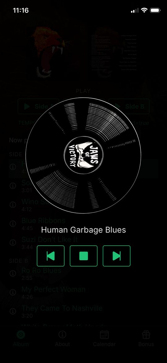Player screen with a spinning record and transport controls
